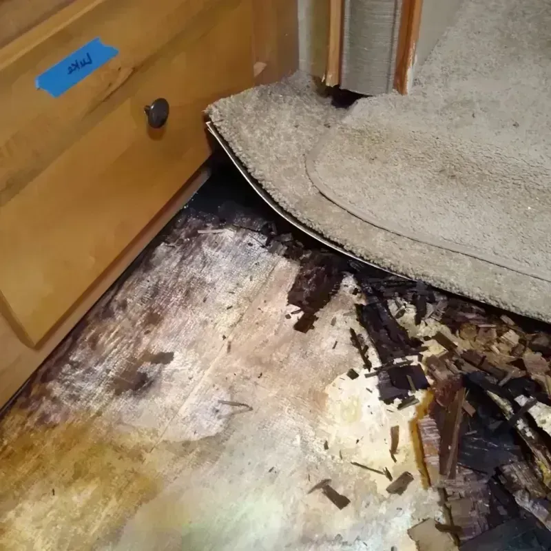 Best Wood Floor Water Damage Service in Cranford, NJ